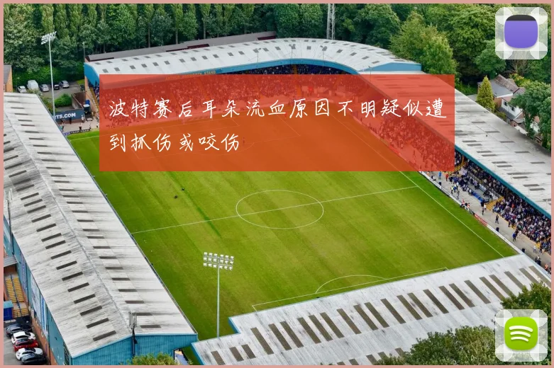 波特赛后耳朵流血原因不明疑似遭到抓伤或咬伤